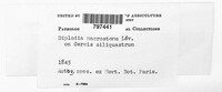 Image Associated With the Occurence